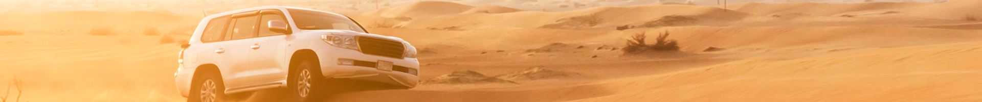 沙漠胎-次類別banner