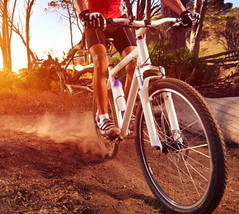 141f0b426ecc73059491e2a8219cdeb2